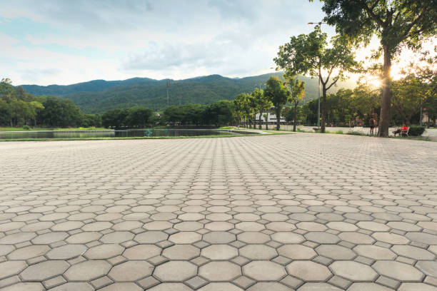 Best Custom Driveway Pavers  in Timmonsville, SC